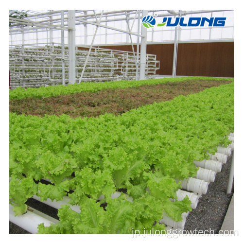 水耕栽培システムを備えたマルチスパンフィルム野菜温室